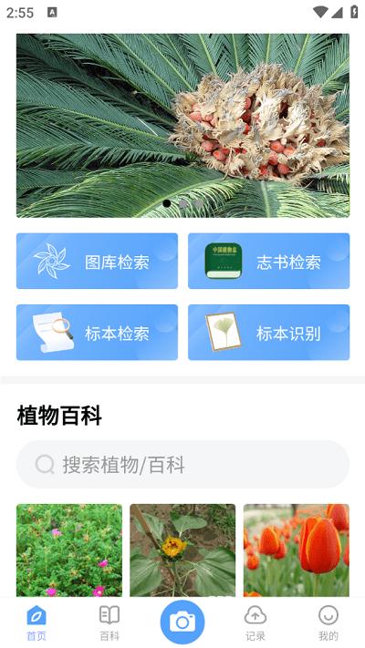 植物智官方版下载,植物智,植物app,识别app