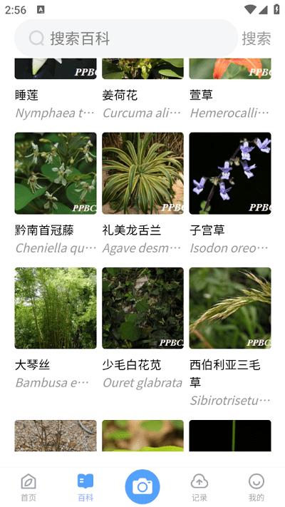 植物智官方版下载,植物智,植物app,识别app